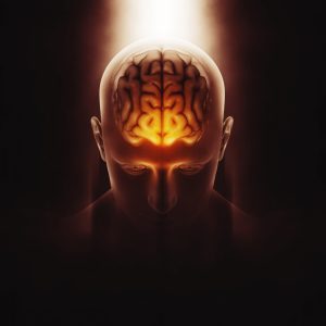 Emotional Intelligence & Workplace Effectiveness Assessment