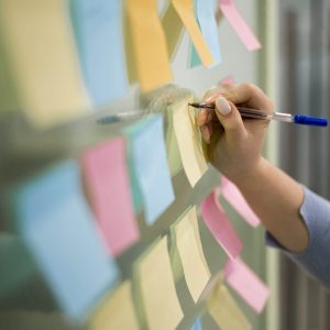Project Management Skills & Methodologies Assessment